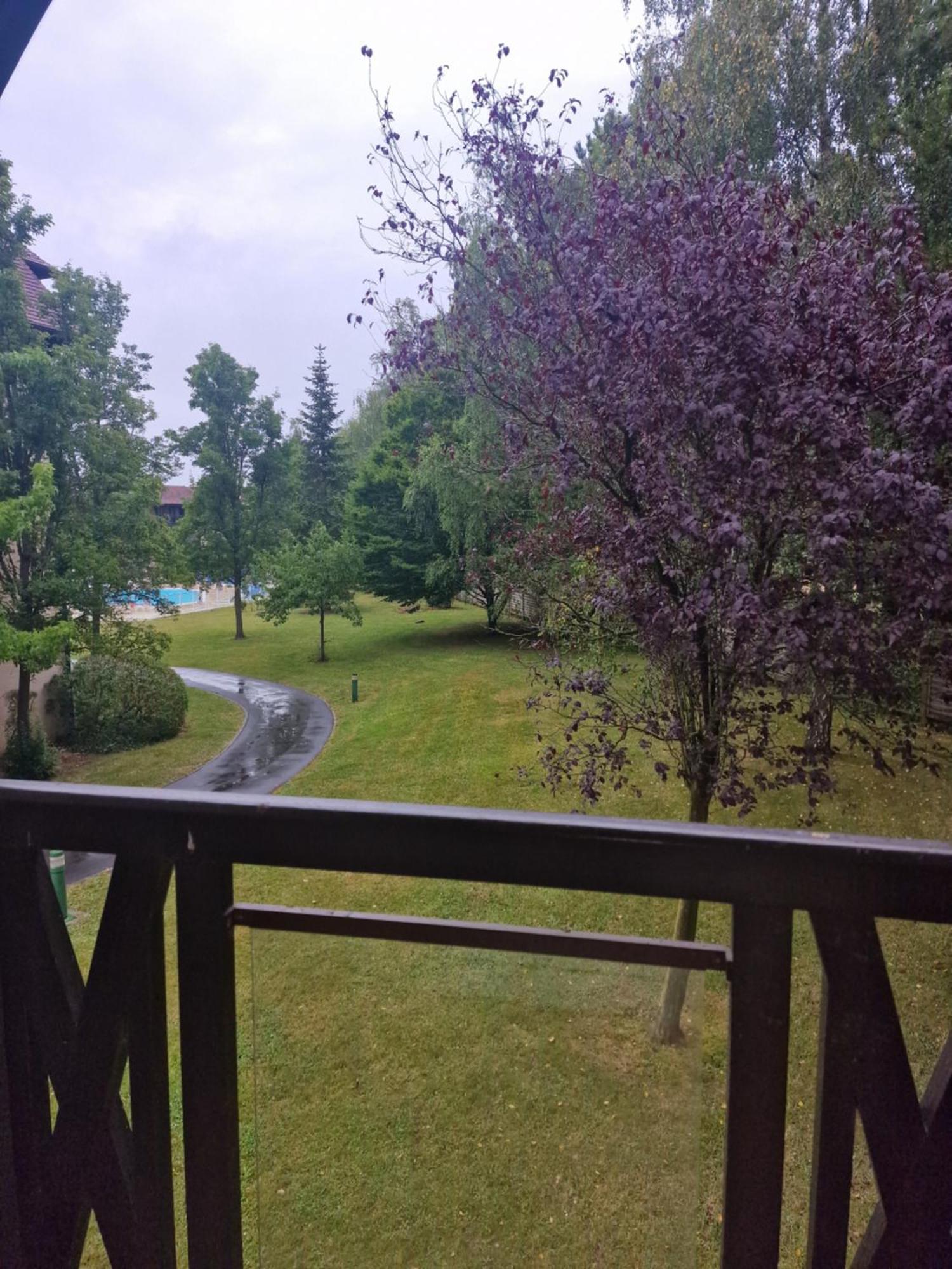 Appart 2 Chambres Piscine Chez Rox - Residence Du Golf โดวีลล์ ภายนอก รูปภาพ